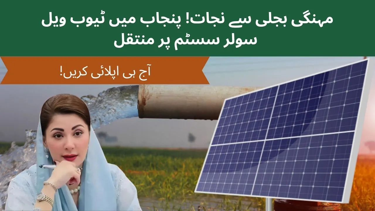 Solar-powered tube wells in Punjab helping farmers irrigate fields efficiently through CM Punjab Solarization Program.